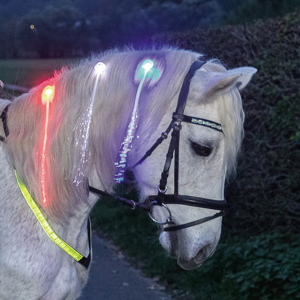 USG LED-Haar Clips für die Mähne