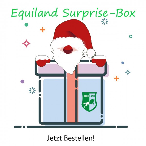 Überraschungsbox für Pferd & Reiter *WINTER-EDITION*