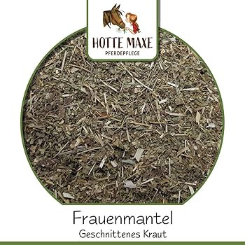 Hotte Maxe Frauenmantel