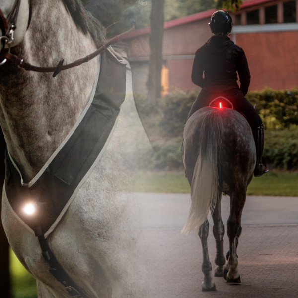 Kavalkade Horselight Set 1 Vorderzeug & Sattelhusse inklusive Leuchten